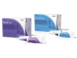Dycal Dentin 24g