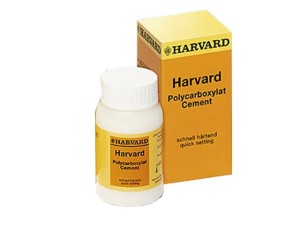 Harvard Cement SH / 100g (proszek)